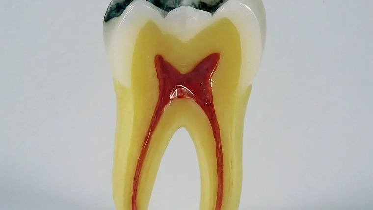 The Impact of Neglecting Emergency Dental Situations
